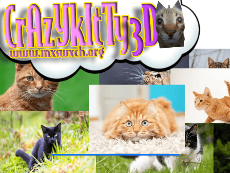 Crazy Kitty 3D