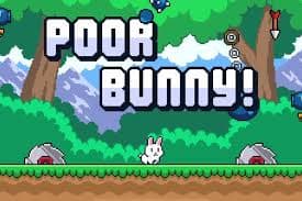 Poor Bunny